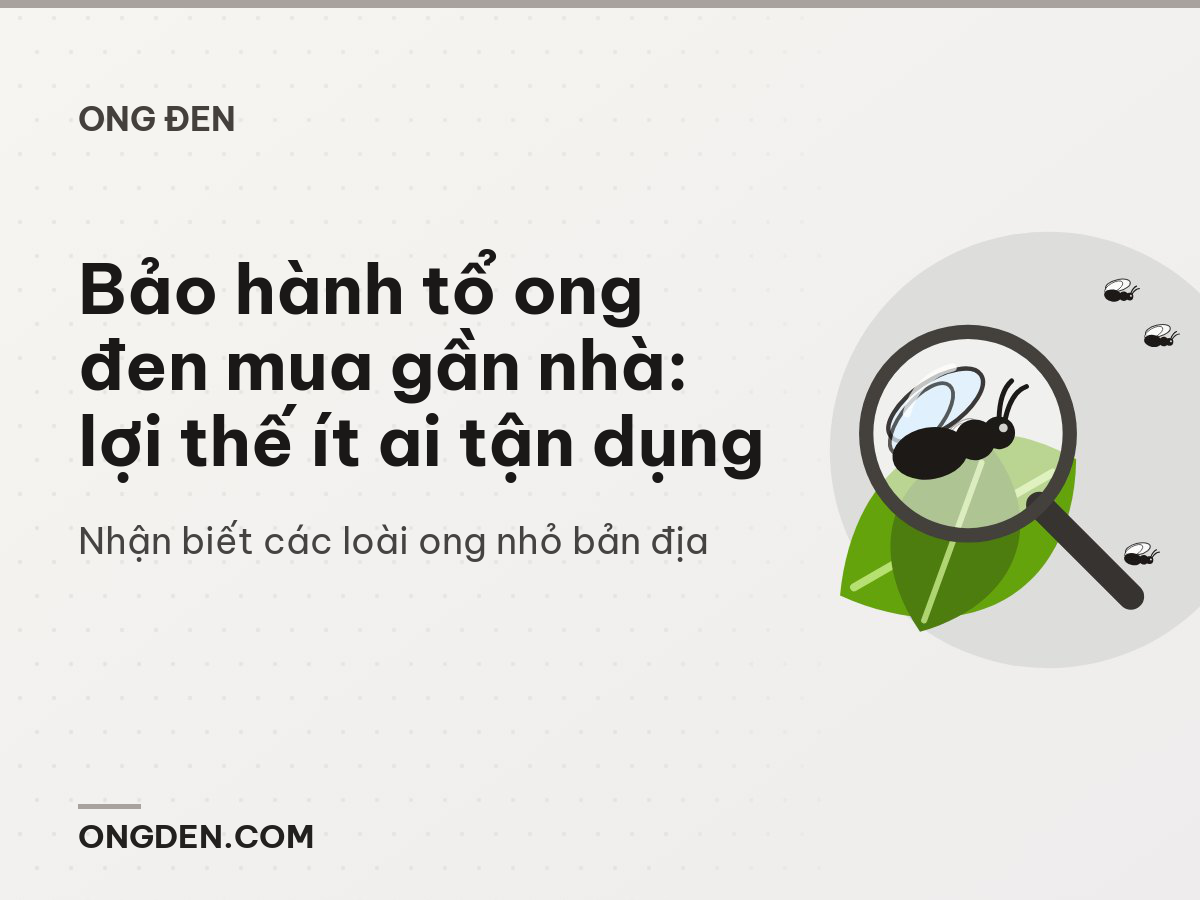 Bảo hành tổ ong đen mua gần nhà: lợi thế ít ai tận dụng