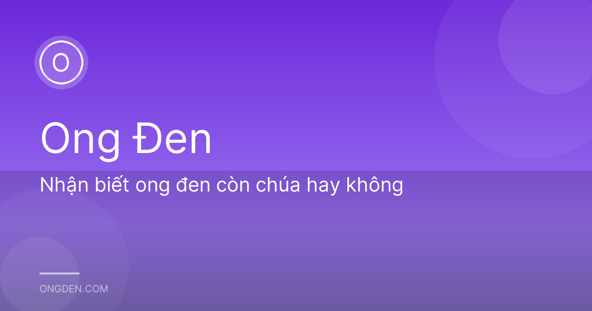 Nhận biết ong đen còn chúa hay không