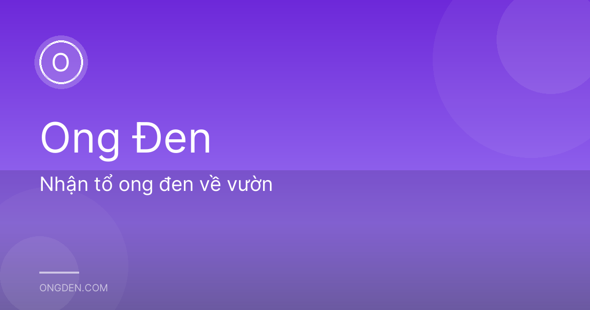 Nhận tổ ong đen về vườn