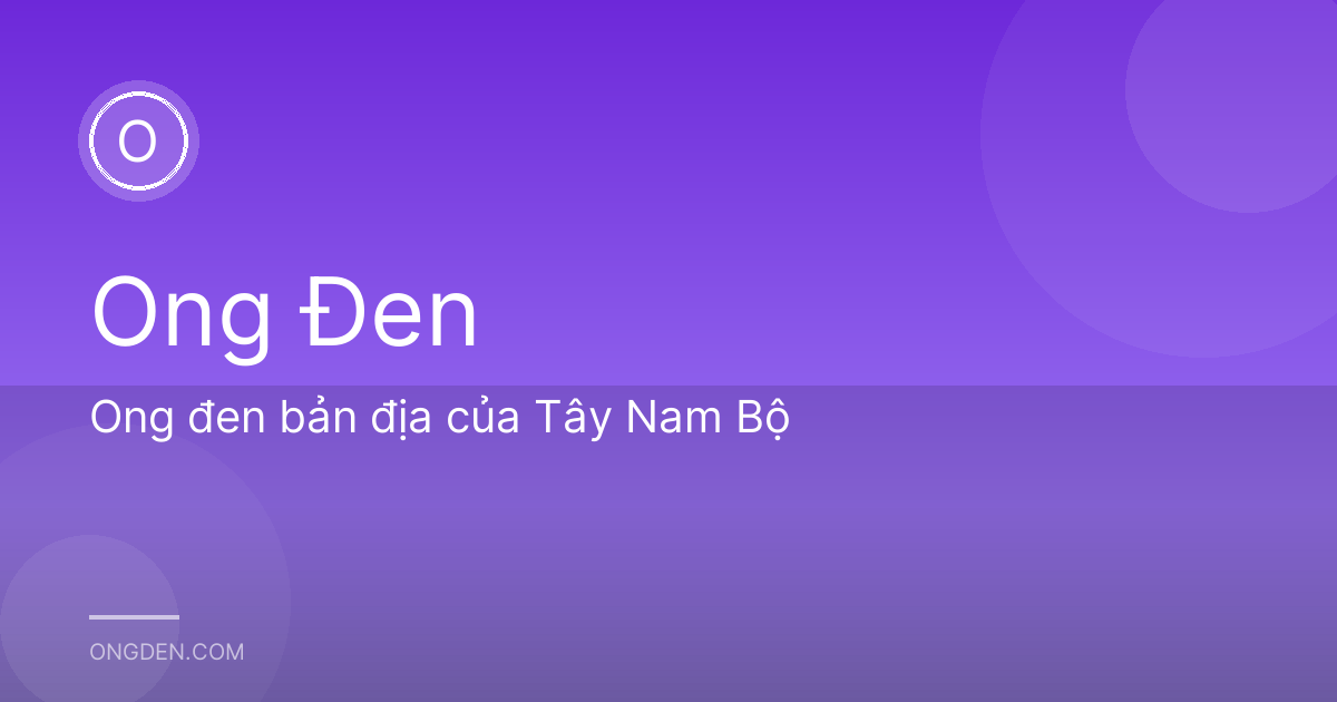 Ong đen bản địa của Tây Nam Bộ
