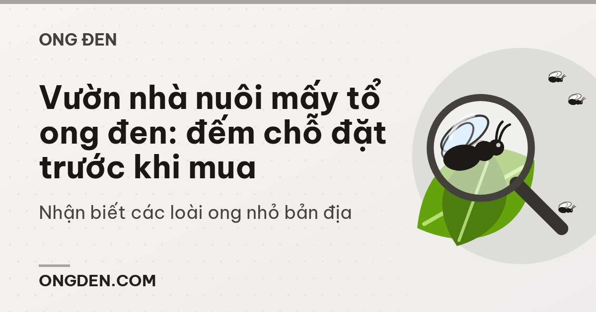 Vườn nhà nuôi mấy tổ ong đen: đếm chỗ đặt trước khi mua